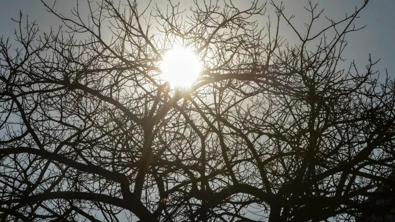 Uberlândia terá fim de semana com clima seco e frio