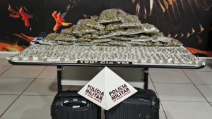 Drogas apreendidas pela Polícia Militar, buchas de maconha, tabletes de maconha e embalagem de maconha gold flor.