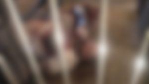 Homem é morto a tiros no bairro Shopping Park, em Uberlândia - Crédito: Reprodução/TV Paranaíba