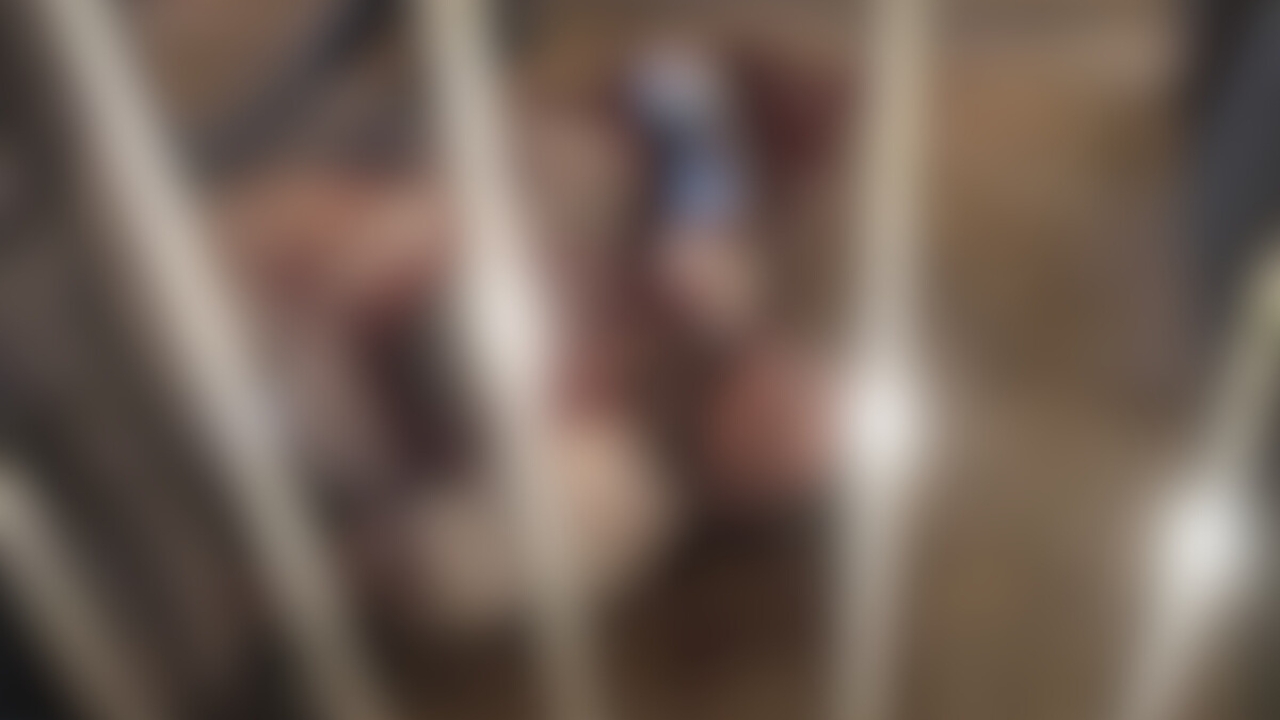 Homem é morto a tiros no bairro Shopping Park, em Uberlândia - Crédito: Reprodução/TV Paranaíba Homem é morto a tiros no bairro Shopping Park, em Uberlândia - Crédito: Reprodução/TV Paranaíba