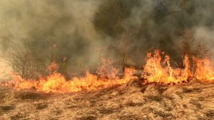 Incêndios florestais