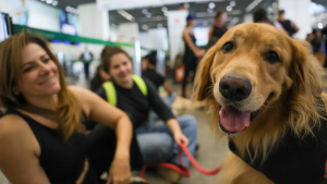 mãe de pet ao lado de um cachorro