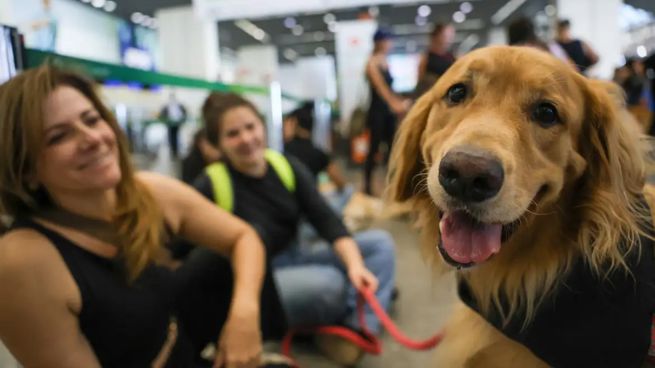 mãe de pet ao lado de um cachorro mãe de pet ao lado de um cachorro