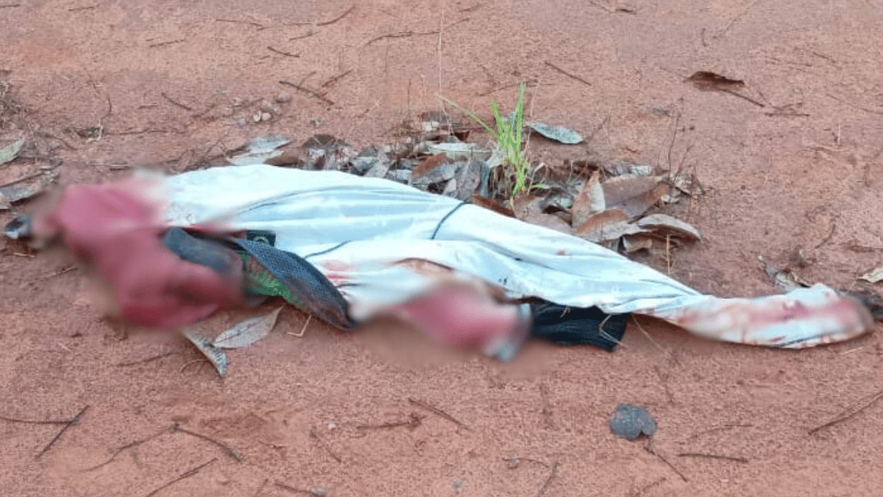 Casal desaparece e roupas com sangue são encontradas em seringal da região, em Prata