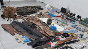 Homem é multado após descoberta de arsenal com armas clandestinas, fuzil de elite, acessórios bélicos e couro de onça em fazenda no Triângulo Mineiro