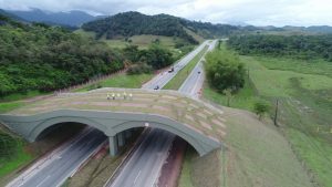 Corredor Ecológico