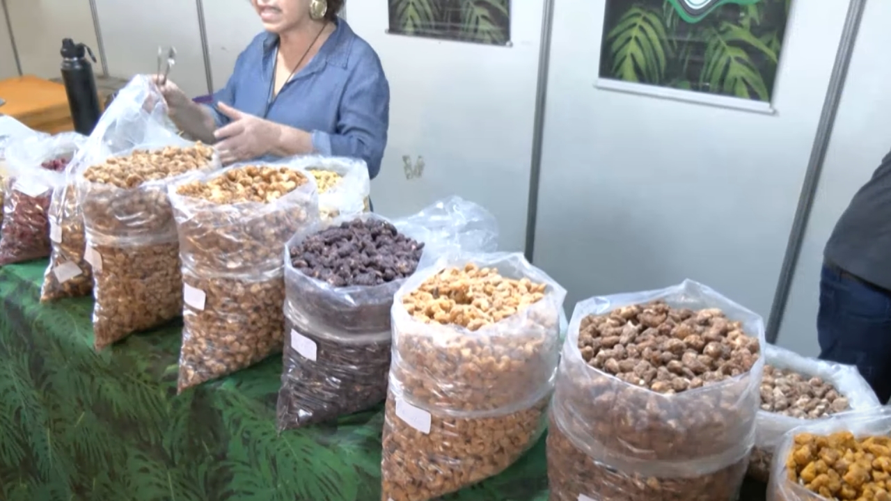 comidas típicas vendidas na Minas tchê comidas típicas vendidas na Minas tchê