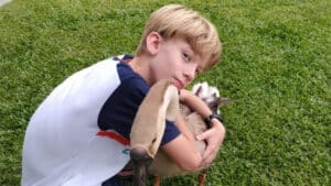 Após 18 dias desaparecido, ganso de estimação é encontrado em área de mata em Joinville