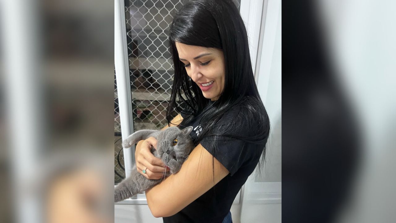 Gatos; Zito; Cinthia Rosa Lopes