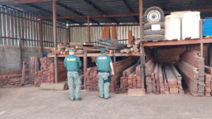 IBAMA encontra mais de 4 mil m³ de madeira irregular em MG