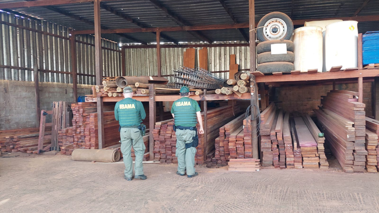 IBAMA encontra mais de 4 mil m³ de madeira irregular em MG IBAMA encontra mais de 4 mil m³ de madeira irregular em MG