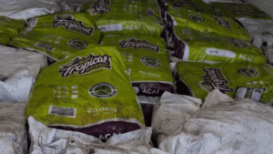 Polícia Civil apreende carga milionária de 7 toneladas de açaí em Uberlândia