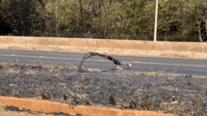 Vegetação fica em chamas e fogo atinge radar de segurança na BR-365