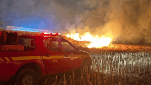 Incêndio atinge 16 hectares e ameaça estruturas na Avenida Marabá, em Patos de Minas