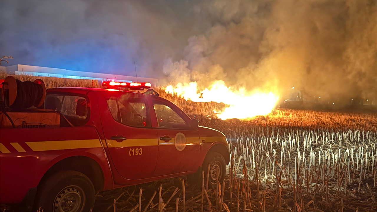 Incêndio atinge 16 hectares e ameaça estruturas na Avenida Marabá, em Patos de Minas