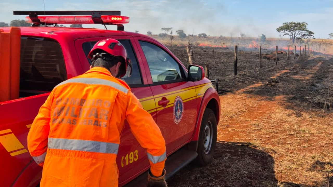 Área equivalente a 42 campos de futebol é destruída em área rural de Ituiutaba