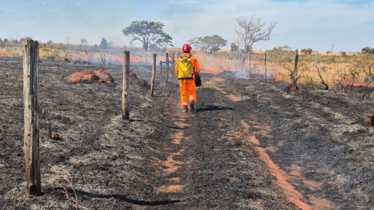 Incêndio atinge pastagem na saída do frigorífico JBS em Ituiutaba