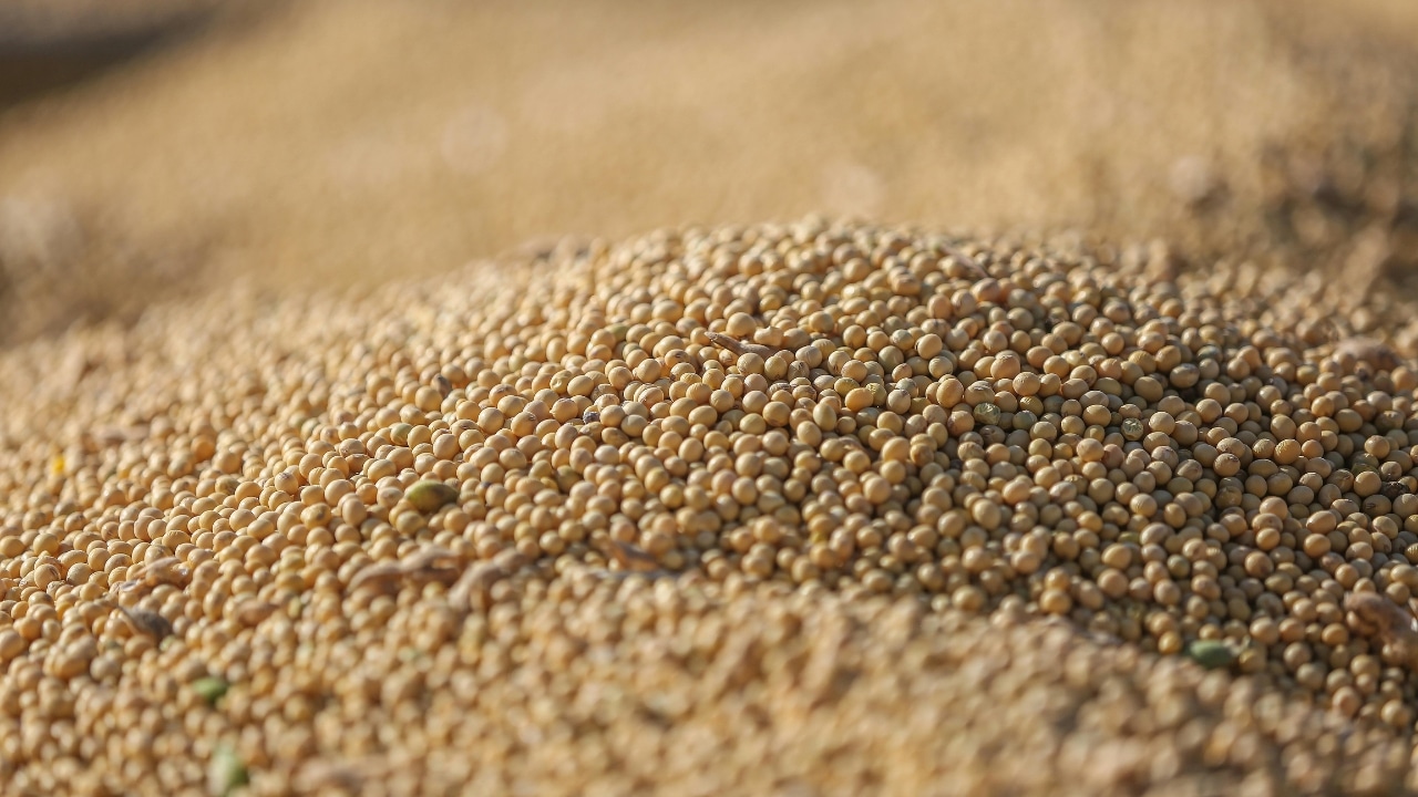 commodities agrícolas