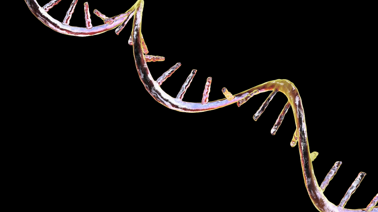 Vacina contra o câncer avança com pesquisa com RNA Mensageiro