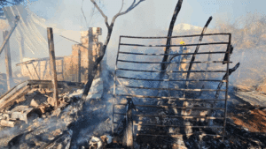 Homem e nove cães são salvos de incêndio em barraco no Umuarama, em Uberlândia