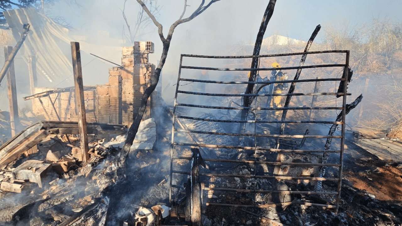 Homem e nove cães são salvos de incêndio em barraco no Umuarama, em Uberlândia