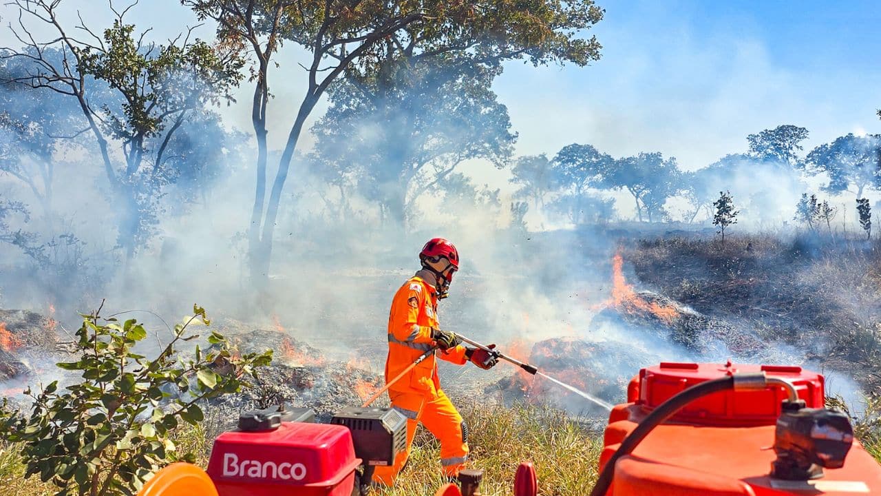 Incêndios florestais. Queimada registrada às margens da BR-365