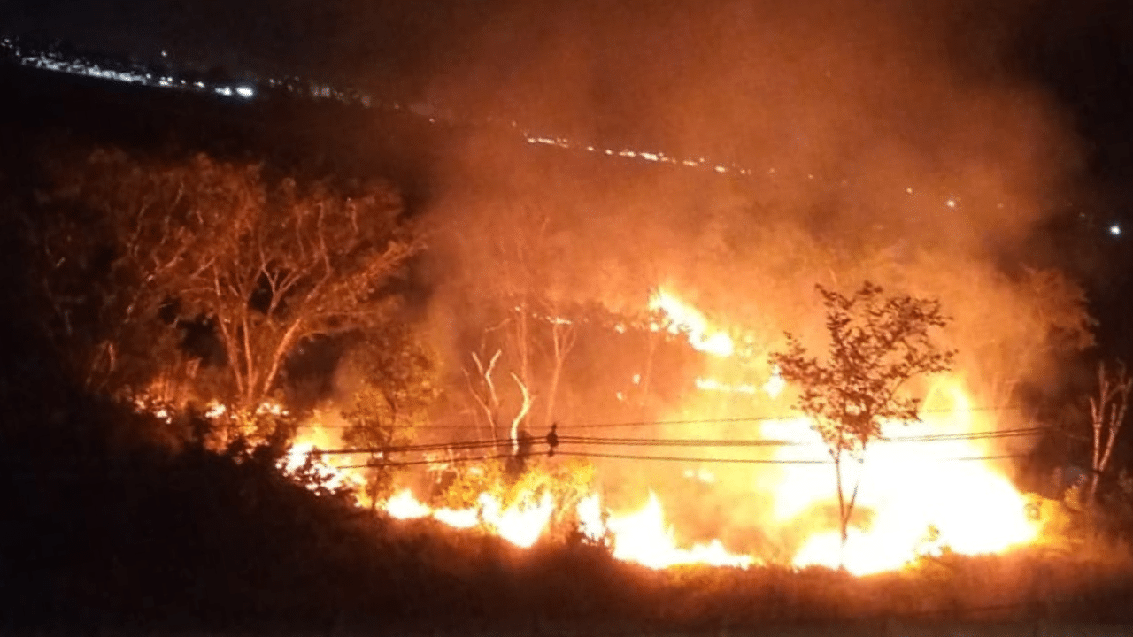 Incêndios florestais