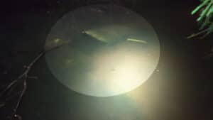 Carro submerso em córrego