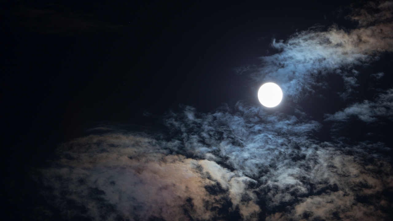Lua do Veado Lua do Veado