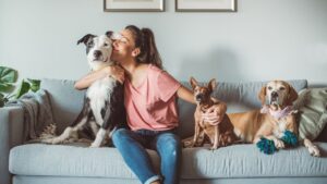 Petsitter