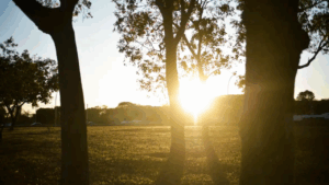 Previsão do fim de semana indica tempo firme, sol e umidade em queda no Triângulo Mineiro