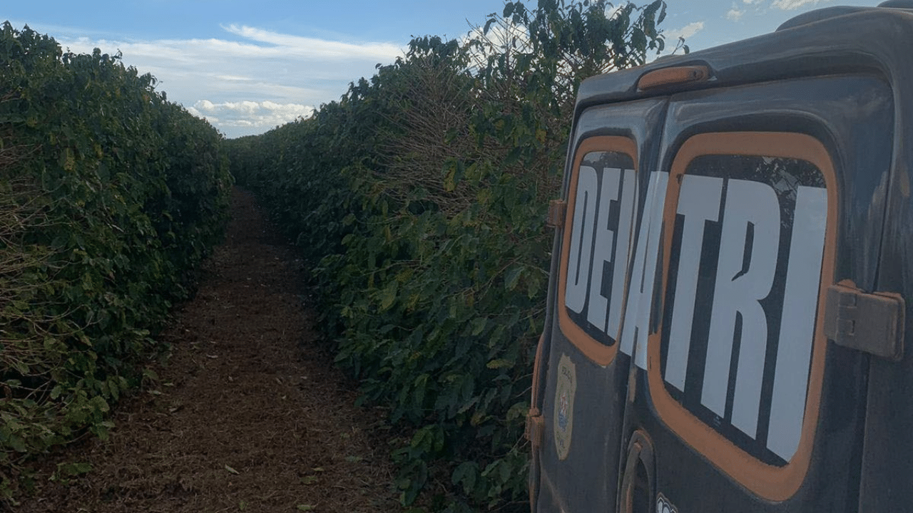 PCMG prende três suspeitos de roubo de 120 toneladas de café em Várzea da Palma