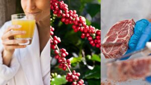 Tarifaço nos EUA afeta agronegócio brasileiro e exportações