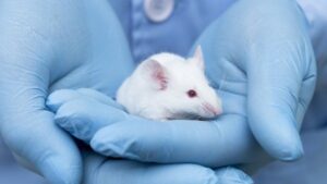como a ciência vai testar cosméticos no Brasil daqui para frente