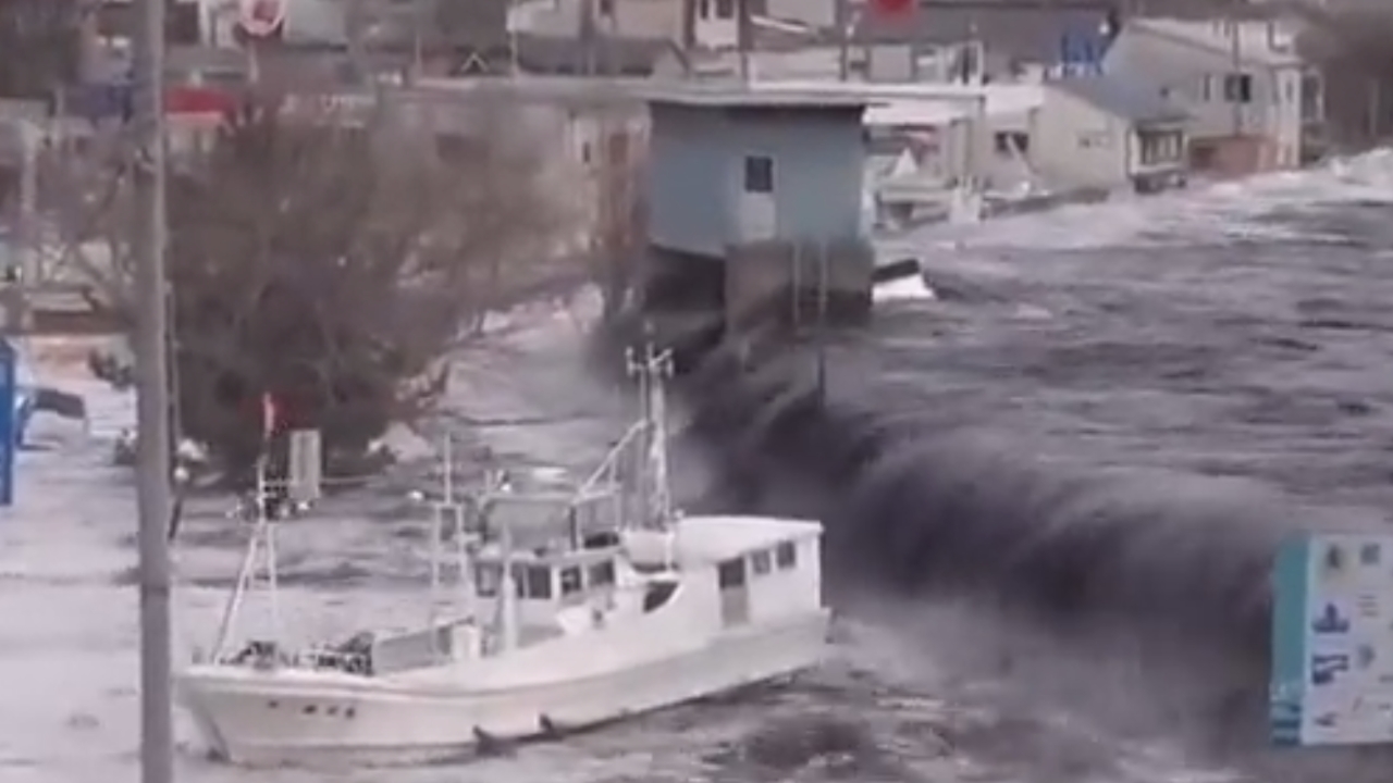 Tsunami Tsunami