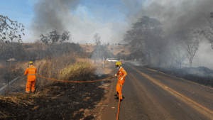 6 incêndios em um dia