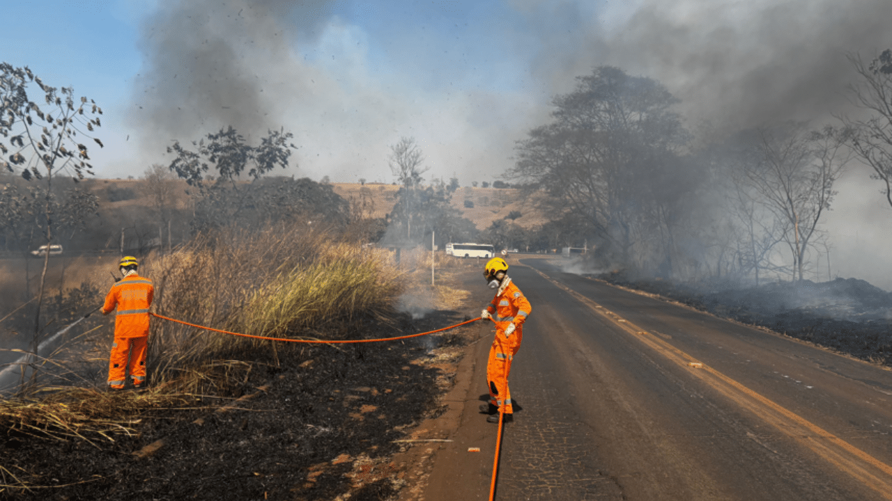 6 incêndios em um dia