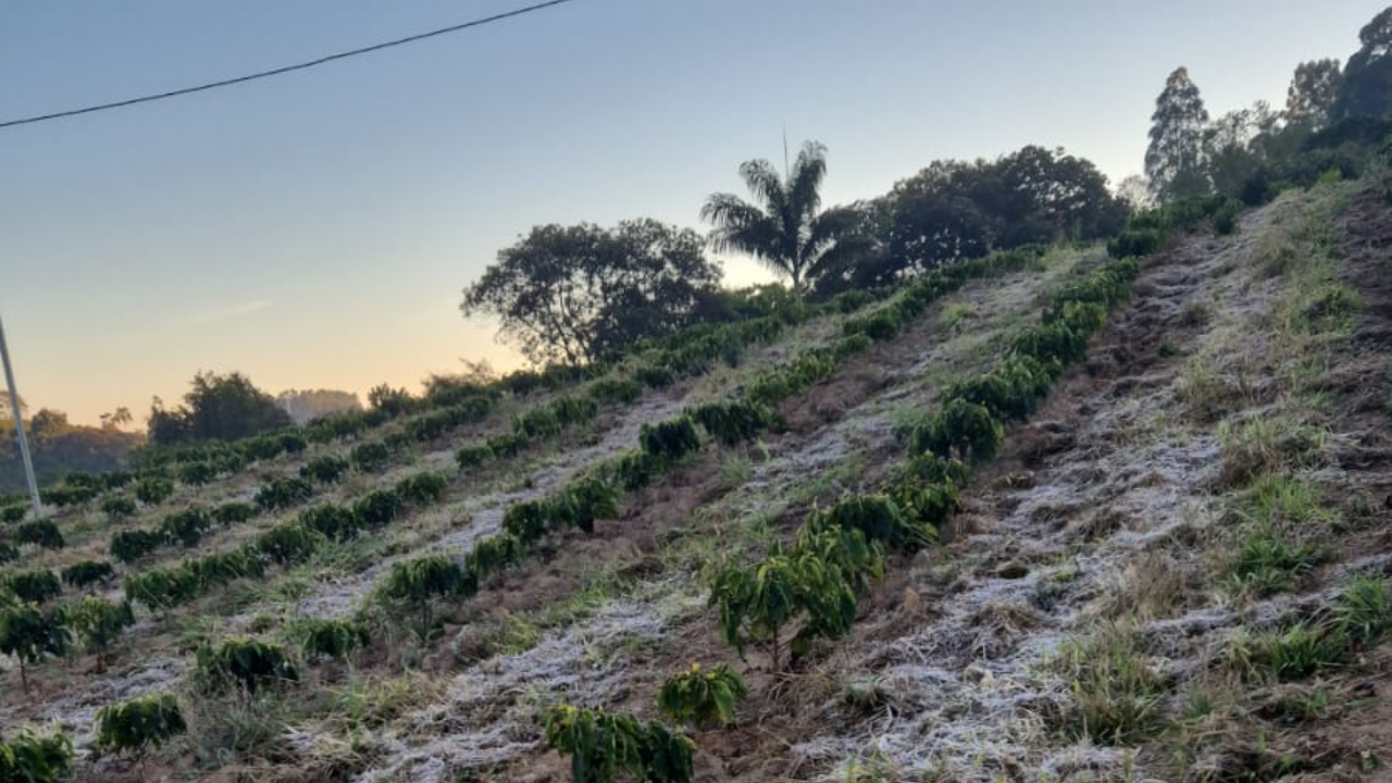 Uberlândia e região do Triângulo Mineiro e Alto Paranaíba registram dia mais frio do ano