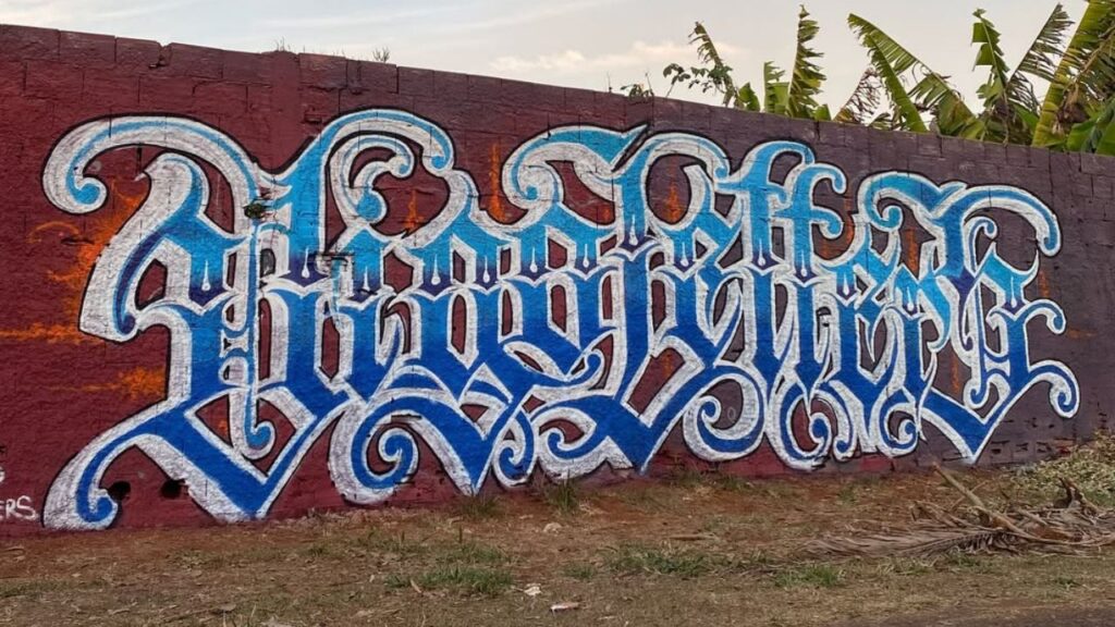 Mural grafitti do jardim urbano