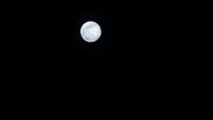 Lua de Esturjão