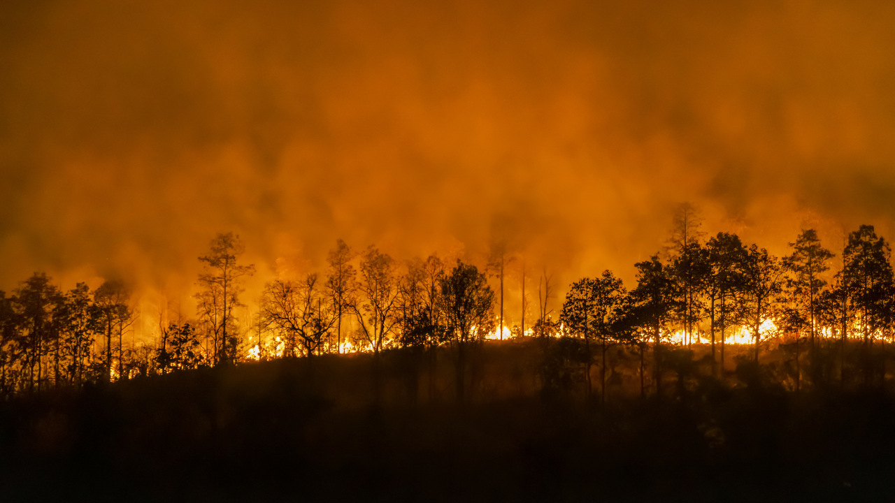 Veranico eleva as temperaturas no Brasil e Minas Gerais enfrenta onda de calor que agrava seca e queimadas