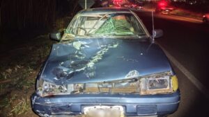 Pedestre morre atropelado ao tentar atravessar a BR-050, em Uberlândia