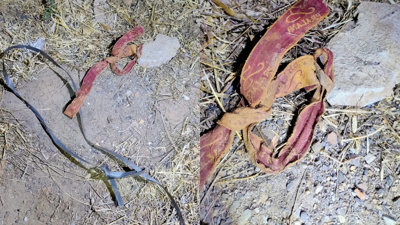 maus-tratos contra animais em MG
