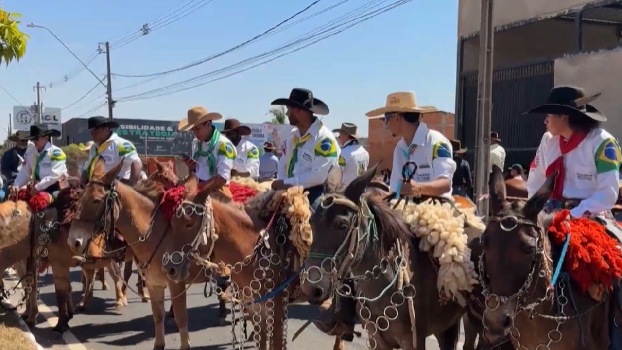Cavalgada Camaru Cavalgada Camaru