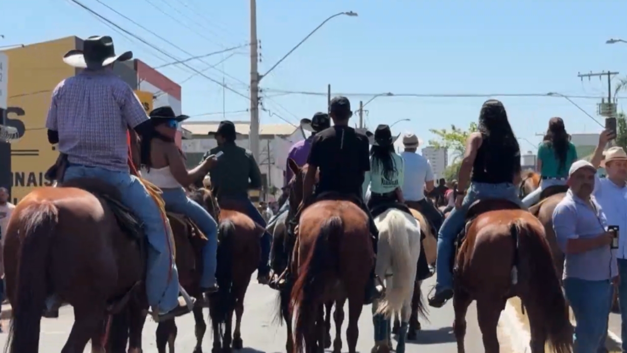 Cavalos na cavalgada; Maus-tratos a burro em Uberlândia Cavalos na cavalgada; Maus-tratos a burro em Uberlândia