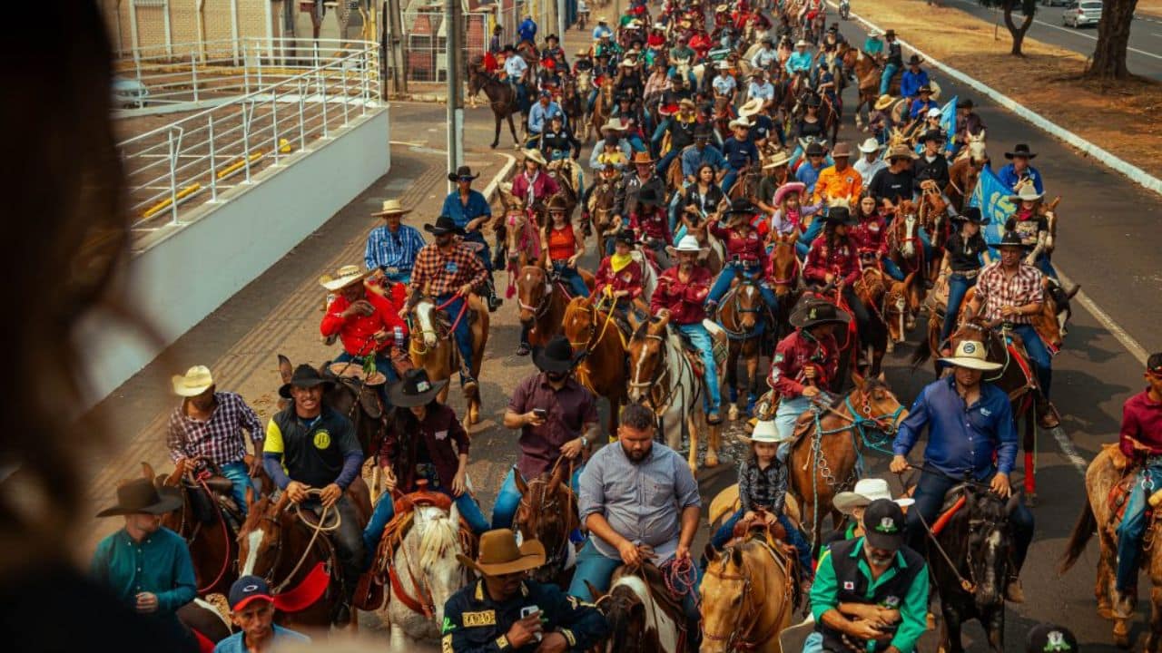 Circulação de cavalos em Uberlândia