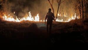 Incêndio no Parque do Goiabal
