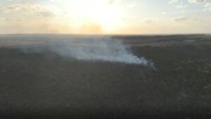Incêndio de grandes proporções devasta Reserva do Panga pela segunda vez