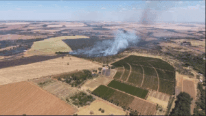 Incêndio atinge vegetação do Campus Glória da UFU, em Uberlândia