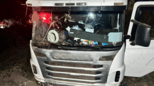 Veja como manter o controle e dirigir em segurança em casos de insetos no veículo